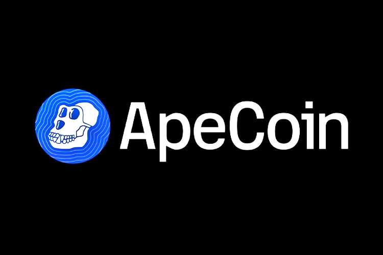 Ape coin วิธีการระดมทุนสำหรับสตาร์ทอัพ 